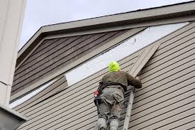 Affordable Siding Repair and Maintenance Services in Nellis Af, NV